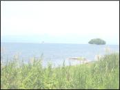 Lake Mainit and its lake grass